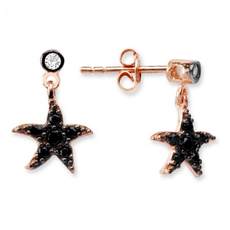 925 Ayar Gümüş Zirkon Taşlı Deniz Yıldızı Küpe - Tesbihane