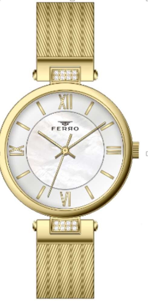 Bayan Ferro Hasır Saat - F21040A-1127-B - 1