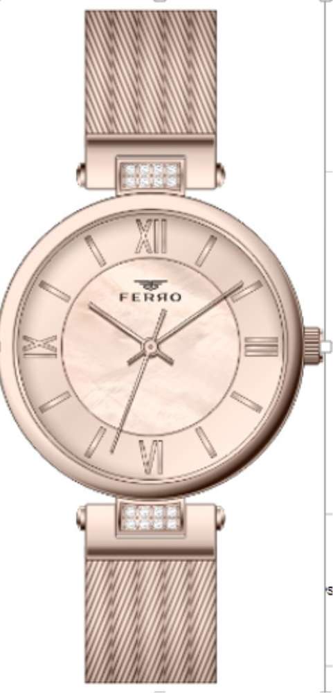 Bayan Ferro Hasır Saat - F21040A-1127-C4 - 1
