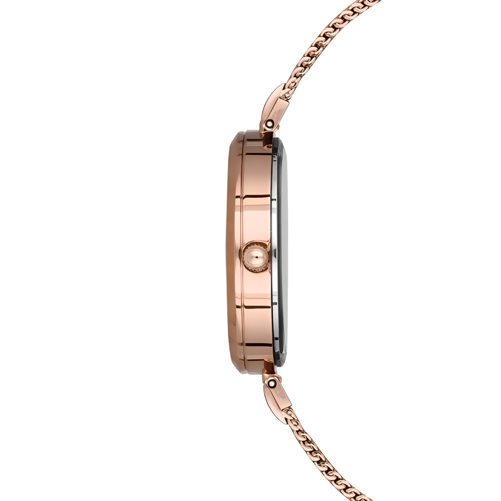 Ferro Rose Çelik Hasır Kordon Kadın Kol Saati Su Geçirmez TH-F21155C-C - 3
