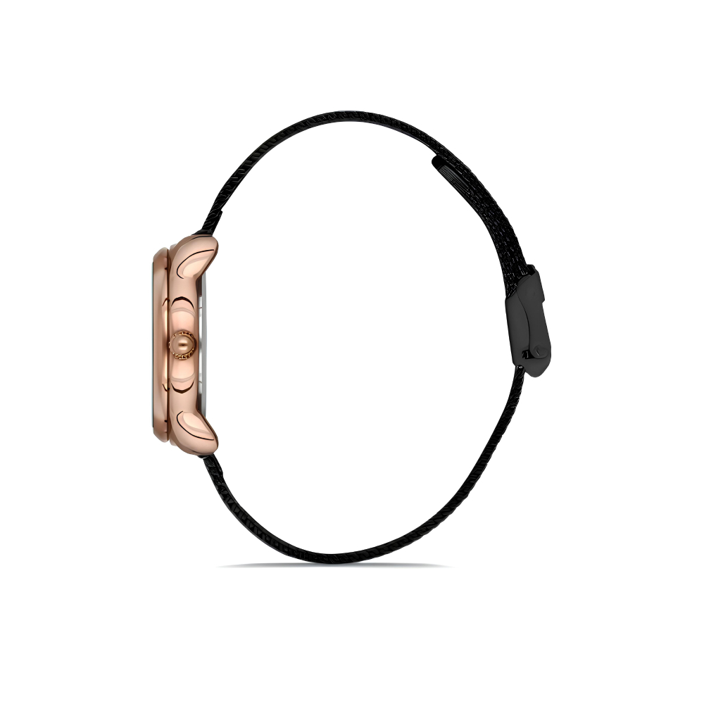 Ferro Siyah Çelik Hasır Kordon Kadın Kol Saati Su Geçirmez TH-FL21242C-C - 3