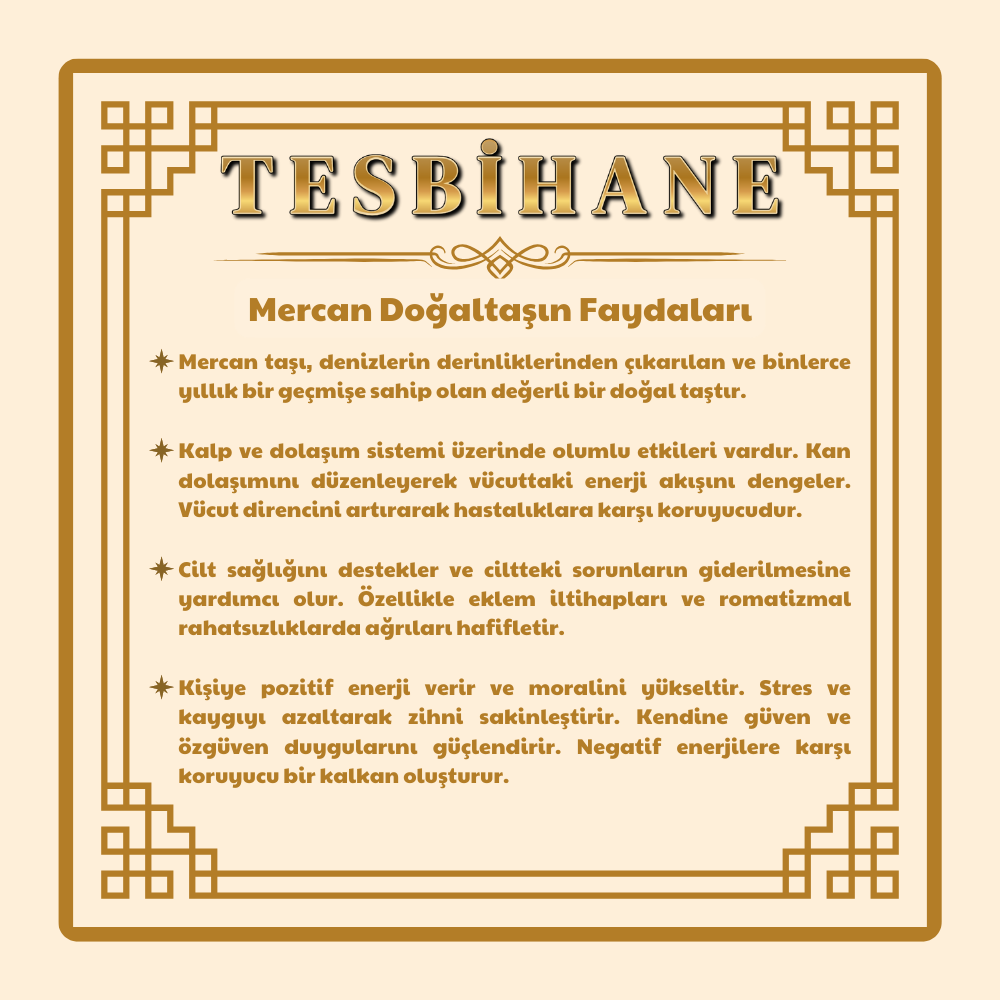 Has Mercan Taşlı İtalyan Tasarım 925 Ayar Gümüş Erkek Yüzük - 5