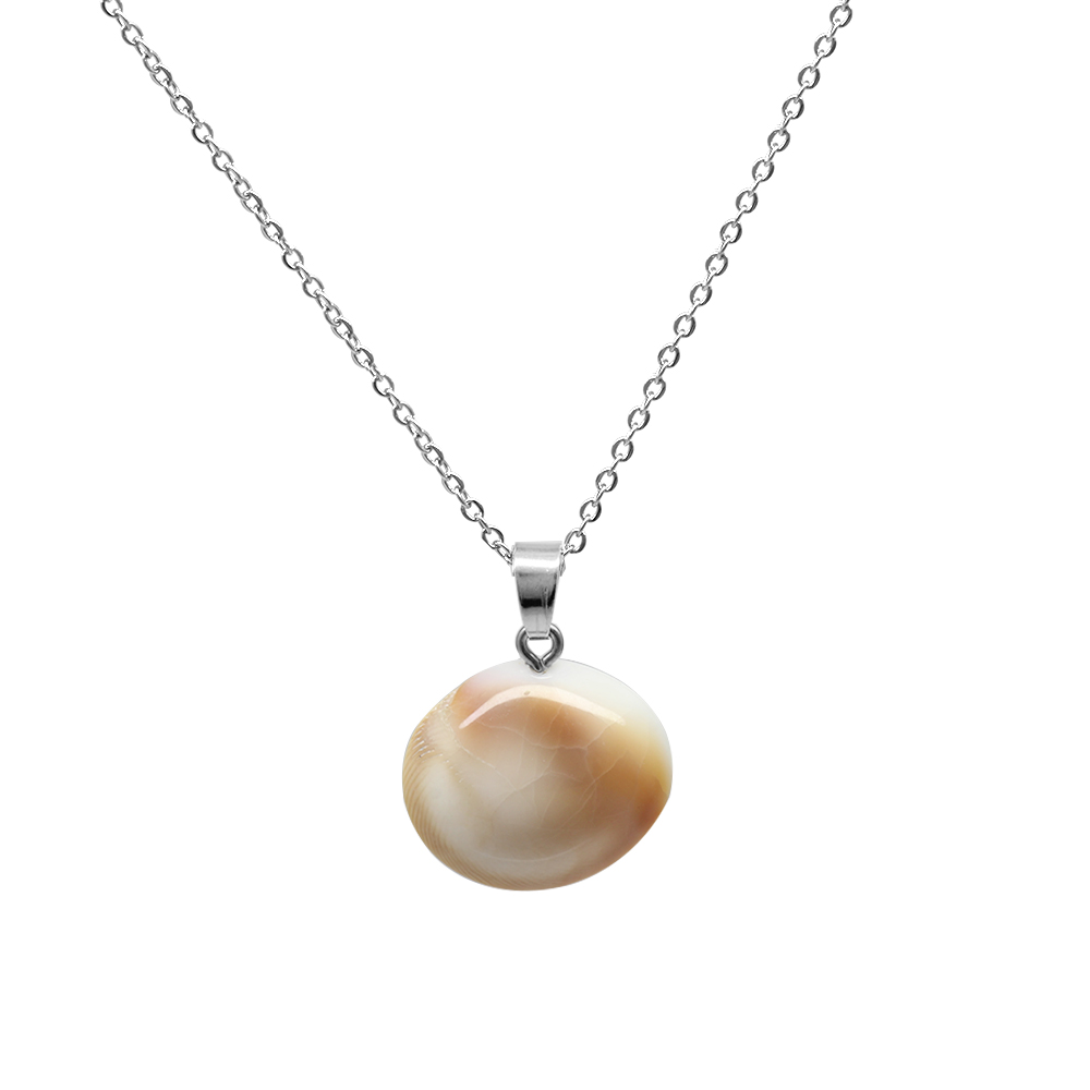 Kararmaz Metal Zincirli Deniz Kabuğu Tasarım Yılancık Doğaltaş Kadın Kolye - 6