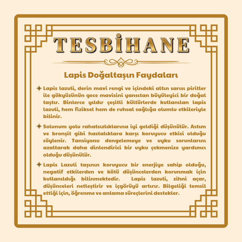 Obelisk Tasarım Zarif İp Zincirli Lapis Doğaltaş Kadın Kolye - 9